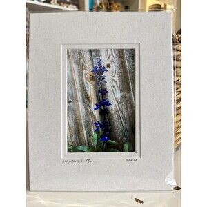 Original Photography 5X7 Picture Double Matted For 8X10 Frame